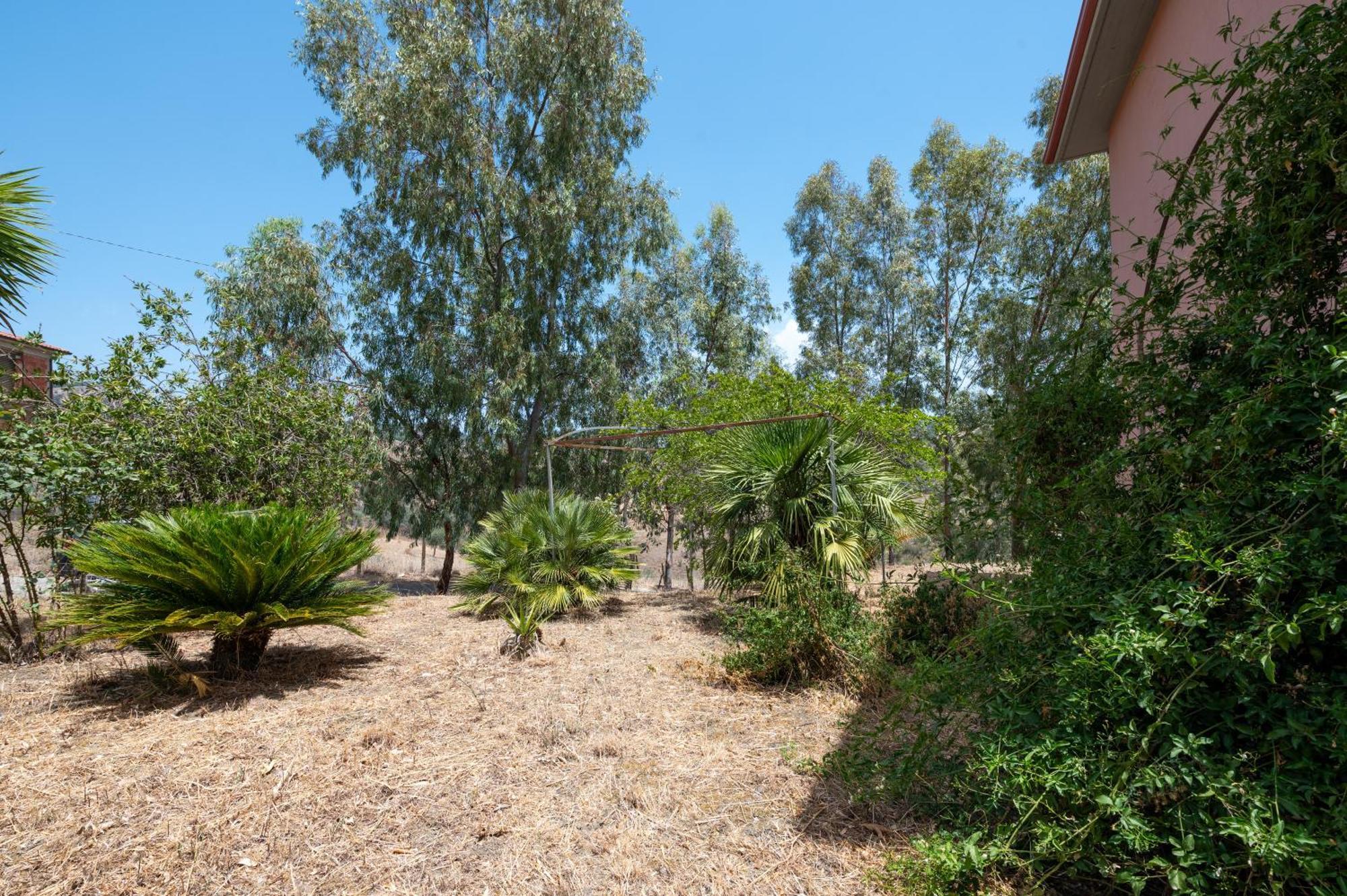 Villa Filippa Nicosia Extérieur photo